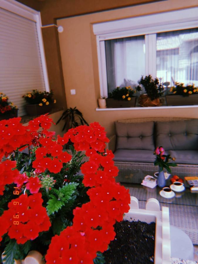 Nova Varoš Apartman Jela מראה חיצוני תמונה