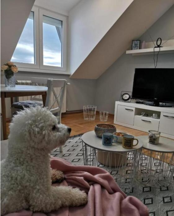 Nova Varoš Apartman Jela מראה חיצוני תמונה