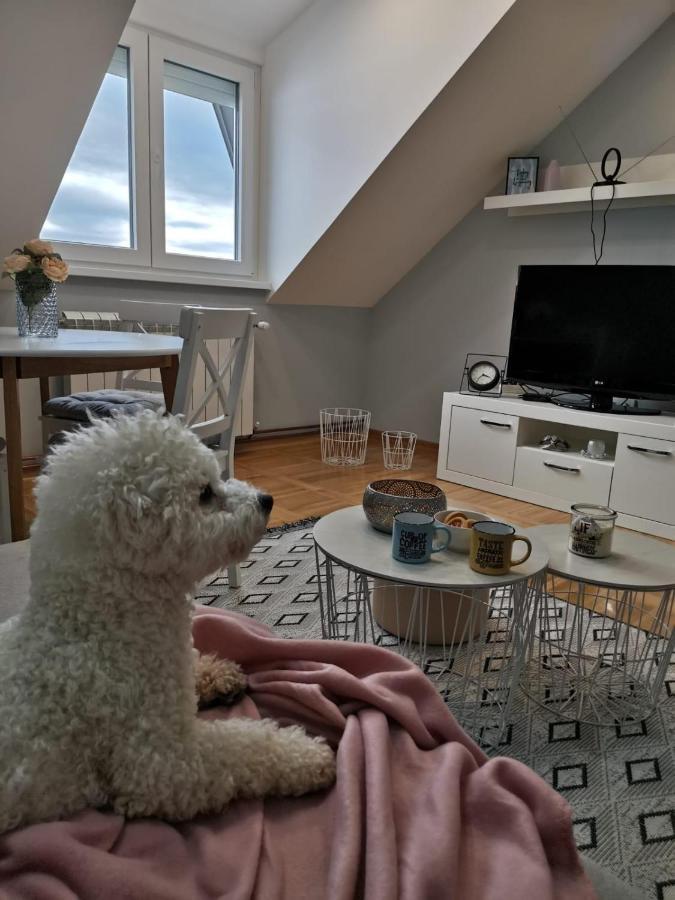 Nova Varoš Apartman Jela מראה חיצוני תמונה
